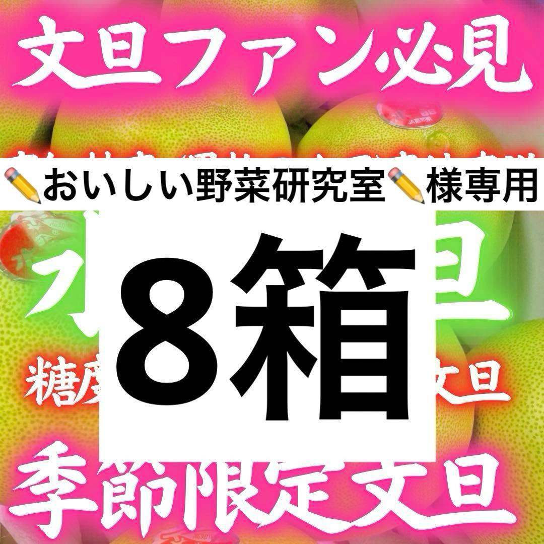 63高知特産 水晶文旦 8～6玉入 約3kg ×8箱 文旦 産地直送 送料無料
