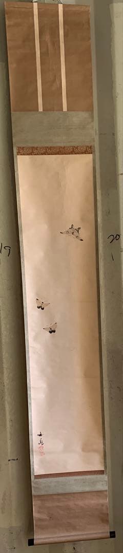 『X001』〈谷文晁〉舞蝶図 文人画大家 清人張秋谷師事