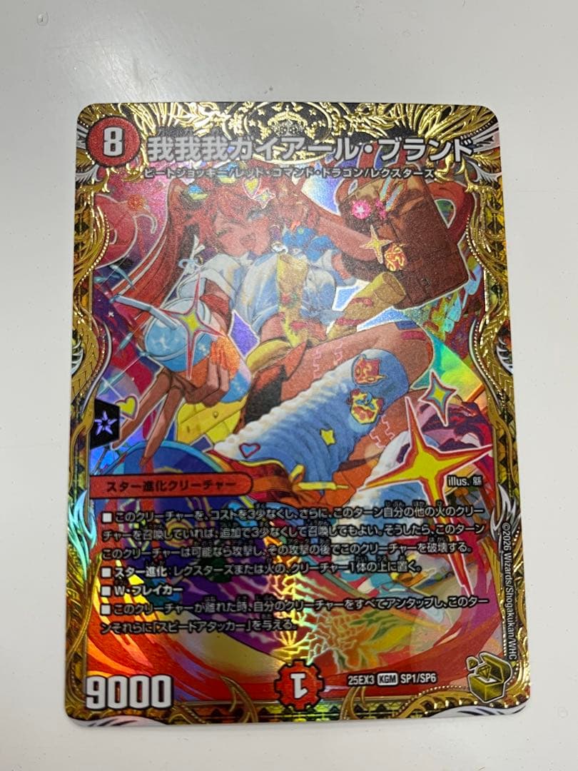 我我我ガイアールブランド　金