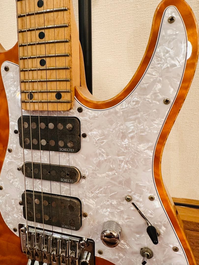 ギター Schector SD-2-24 ASH