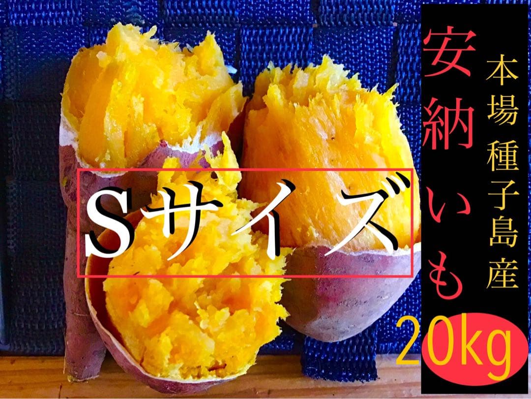 種子島産安納芋　Sサイズ20kgさつまいもの王道 どうぞ　#25
