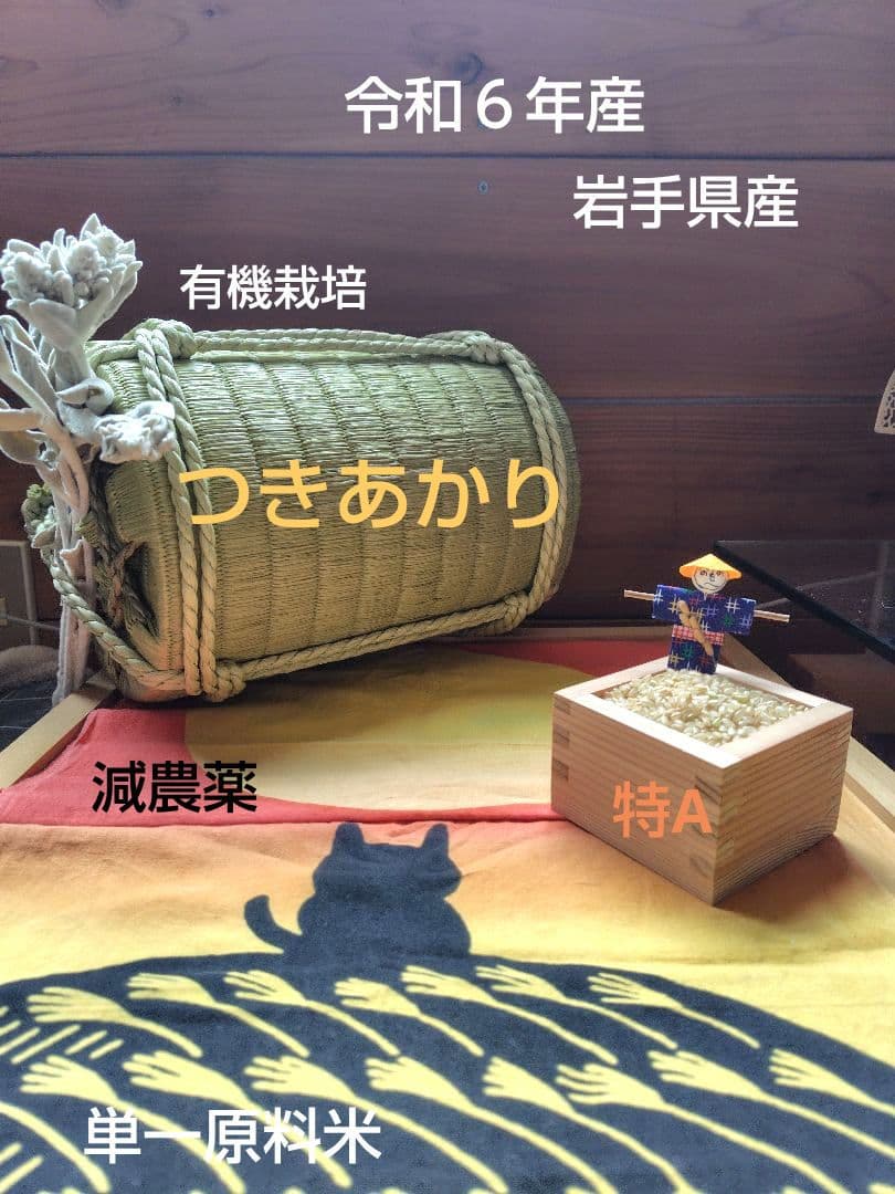 つきあかり10kg　岩手県産 令和６年産 減農薬 玄米 有機栽培 単一原料米