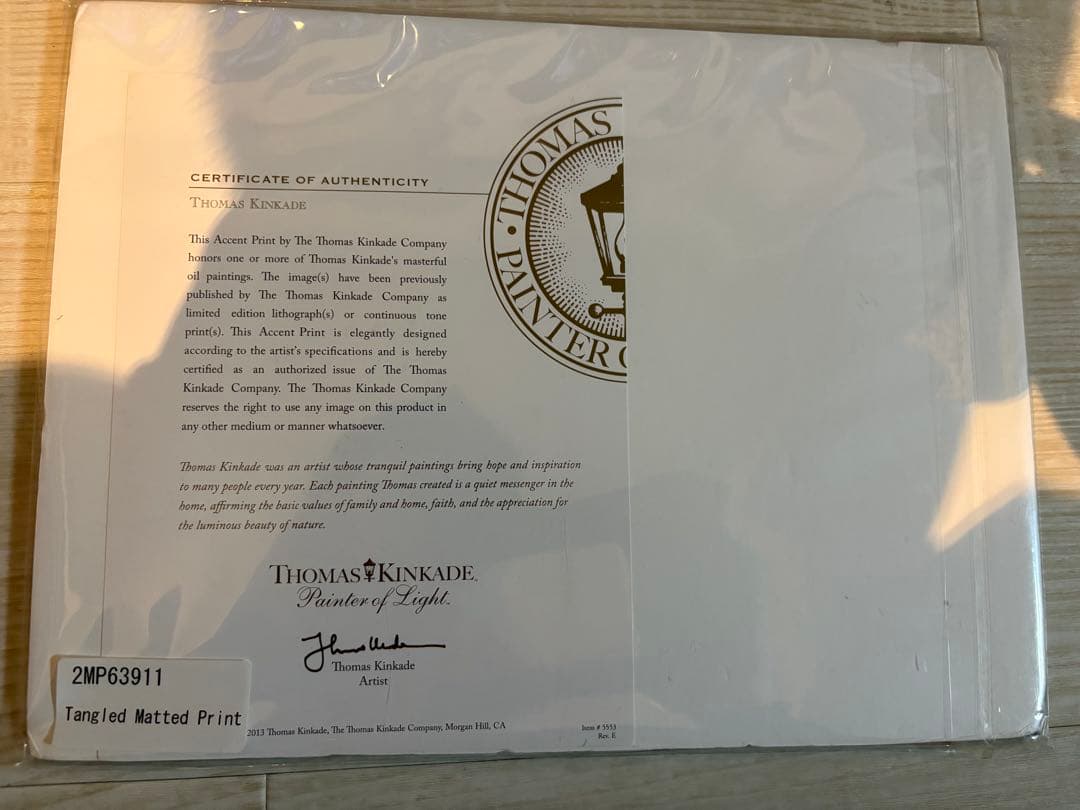 【希少】塔の上のラプンツェル 絵画 アートプリント