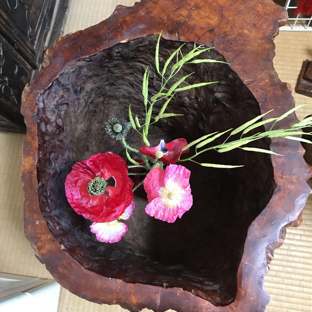 木の根 インテリア  掛軸いれなど