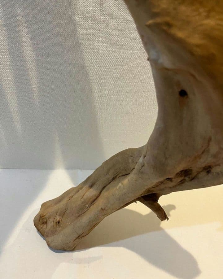 流木　止まり木　約82センチ