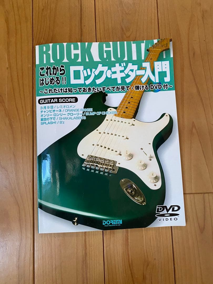 Fernandes エレキギター ソフトケース付き