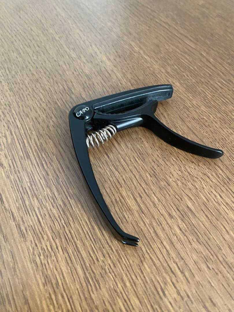 Fernandes エレキギター ソフトケース付き