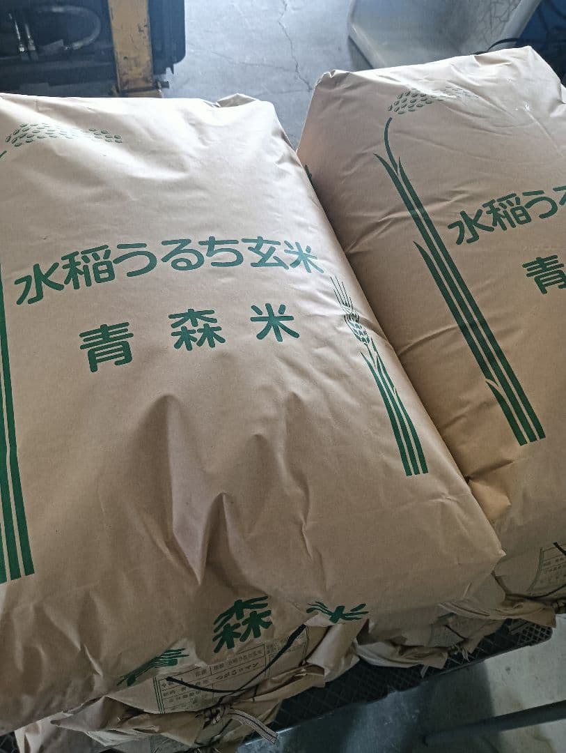 R7年　まっしぐら10kg（玄米）