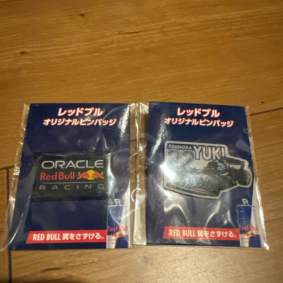 1/18 Red Bull Racing RB6 S.ベッテル