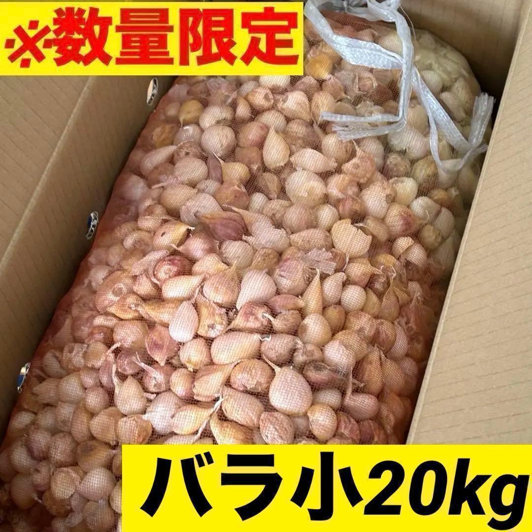 【残りわずか】新物 青森県産 にんにく バラ小 20kg 福地ホワイト 加工