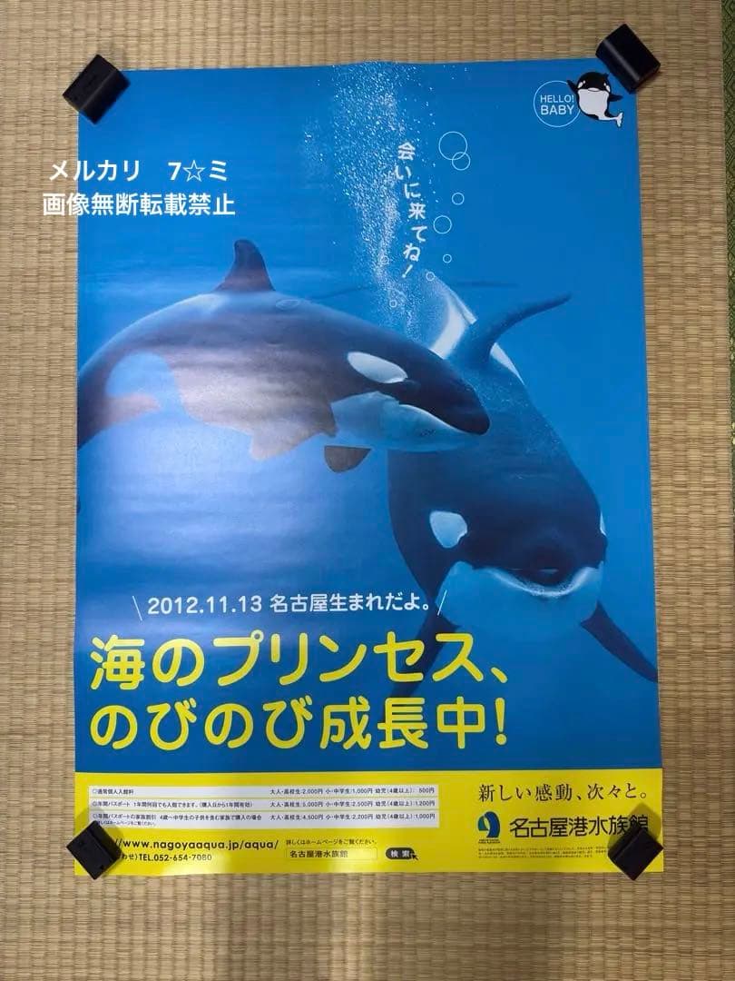 【レア・ラスト1点】名古屋港水族館　シャチ リンちゃん ステラ　ポスター