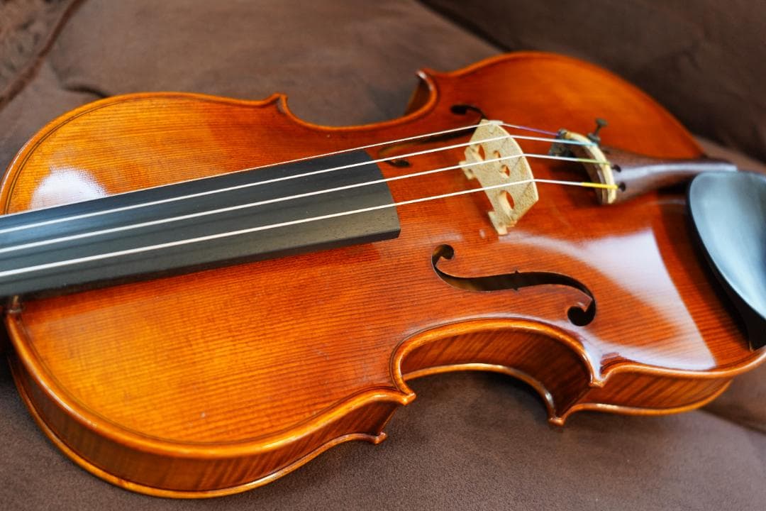 KT様　ローデリヒ　ペゾルト　バイオリン Paesold 806 4/4 ☆5