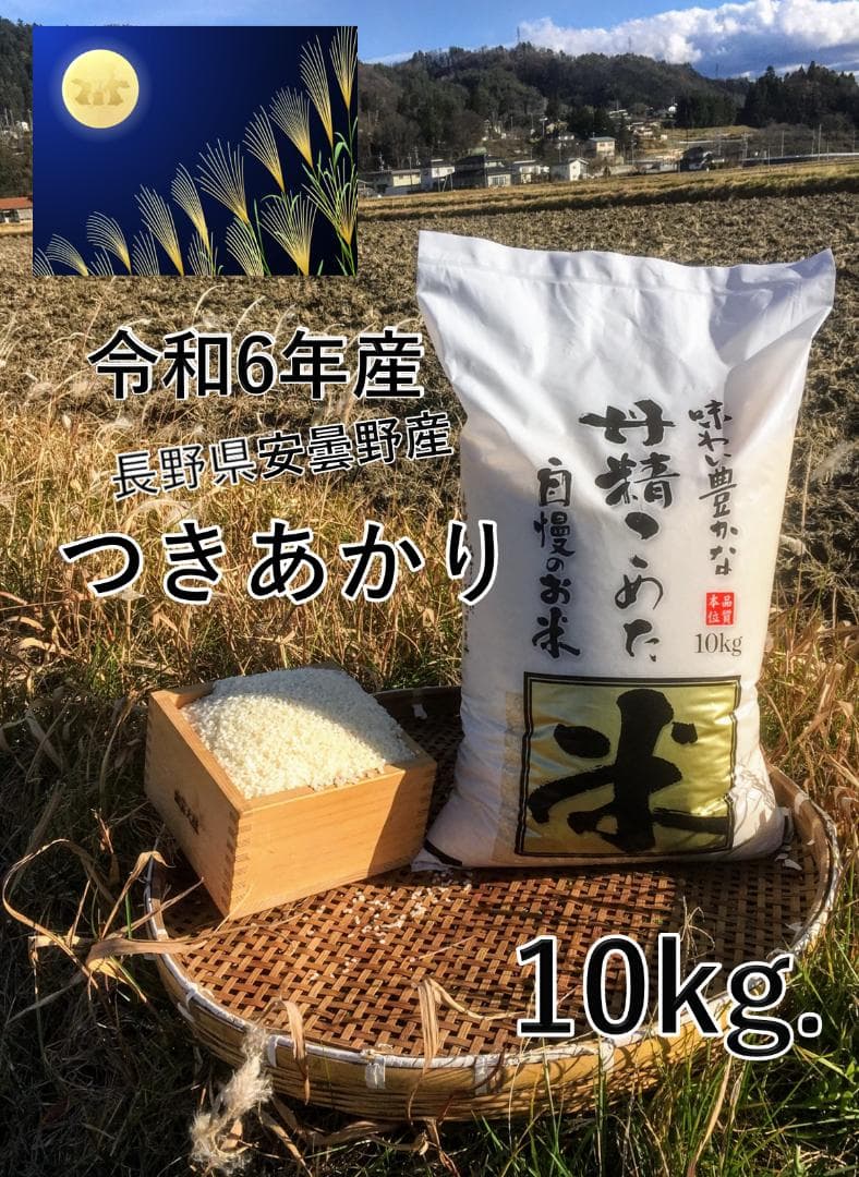 令和6年 長野県 北安曇野産 つきあかり 10kg