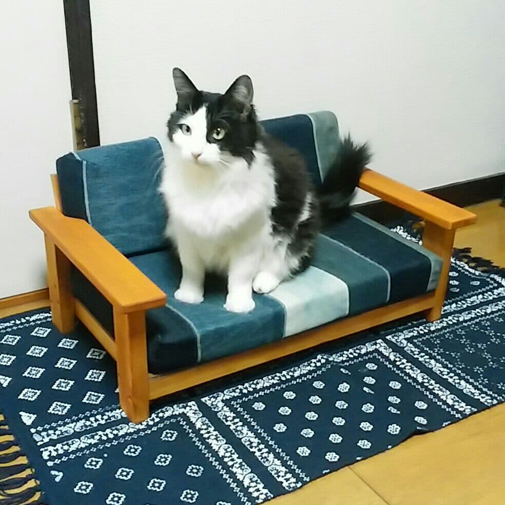 リメイク デニム★ペットソファー①