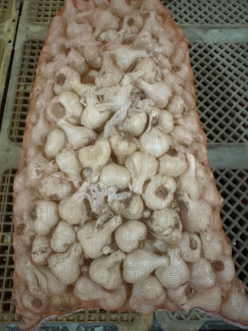 青森県産　にんにく　福地ホワイト六片　小 10kg