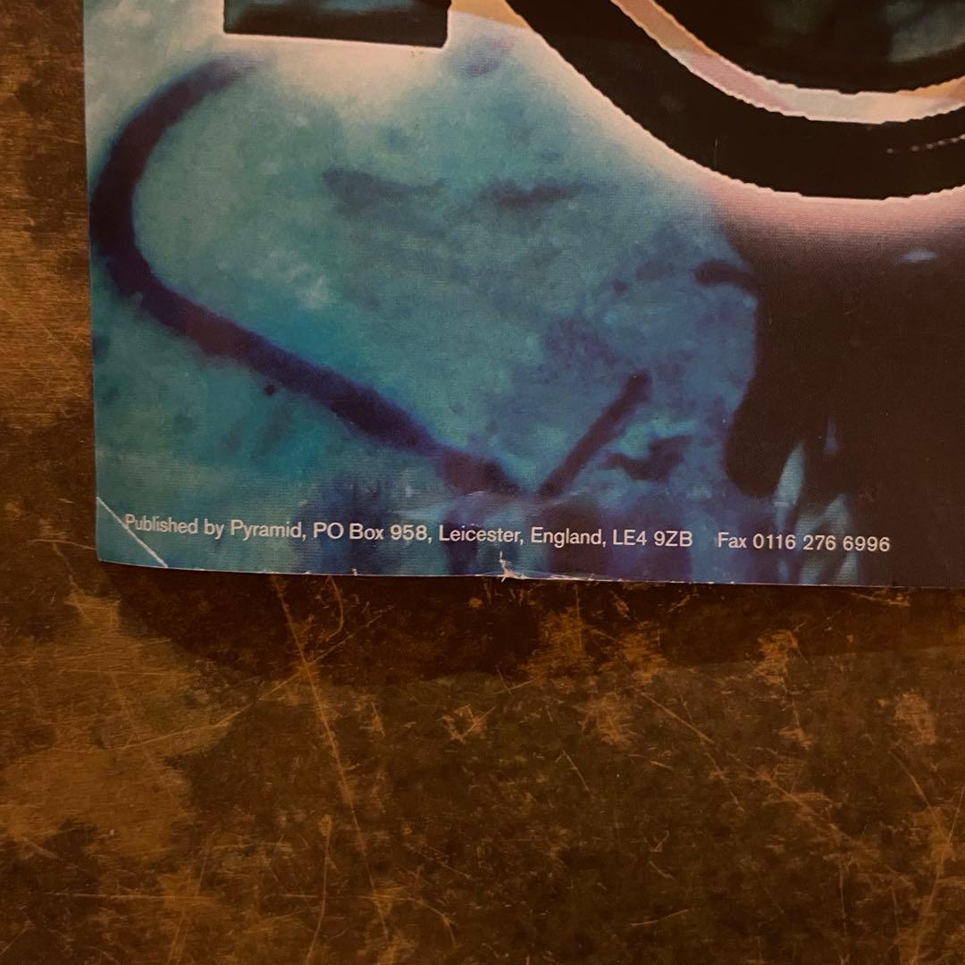 90s デッドストック Limp Bizkit 大判ポスター