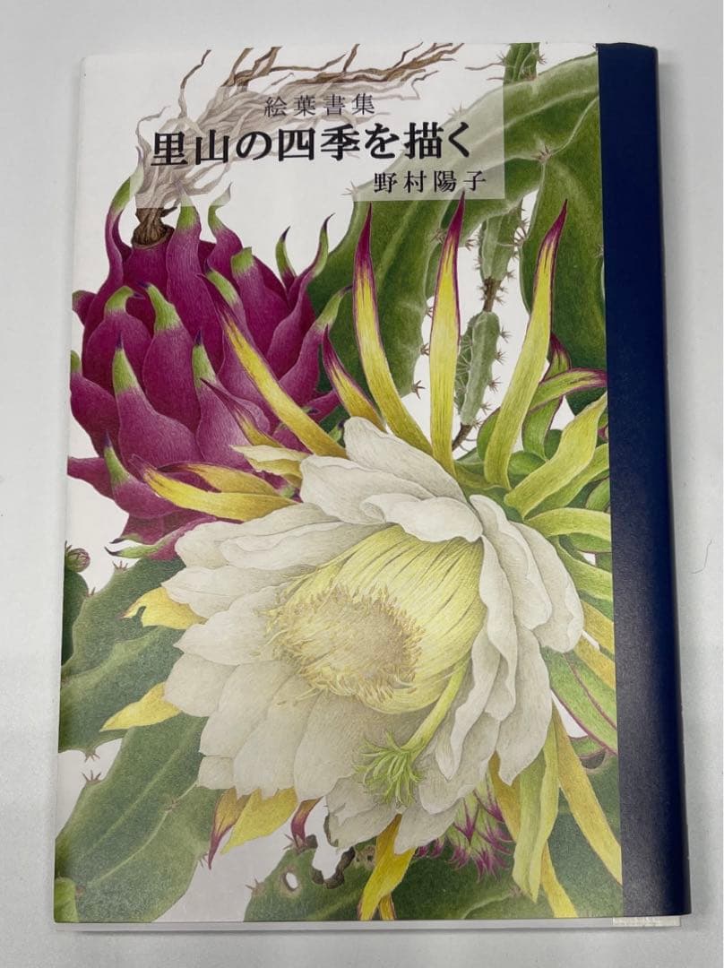 野村陽子　絵葉書集 里山の四季を描く