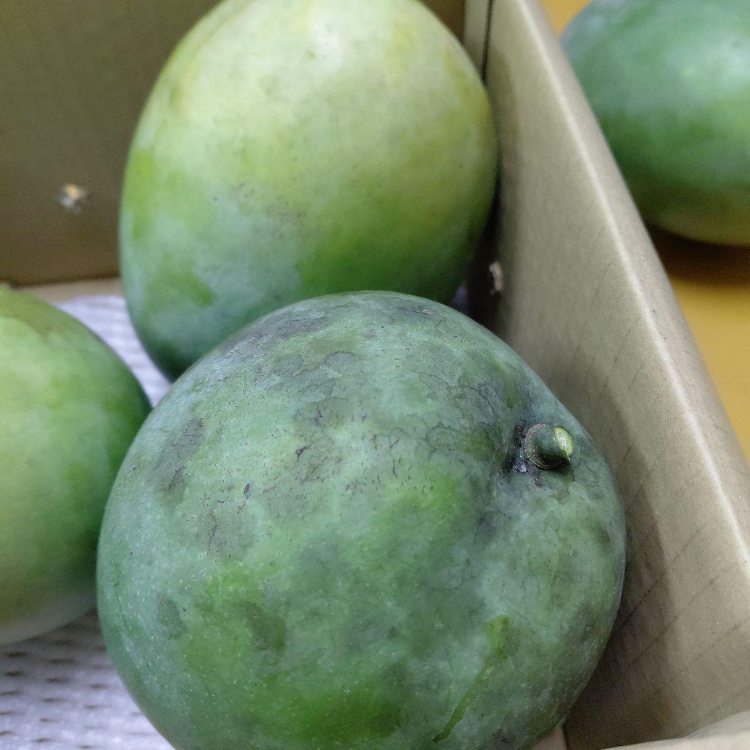 追熟型A　キーツマンゴー５玉
