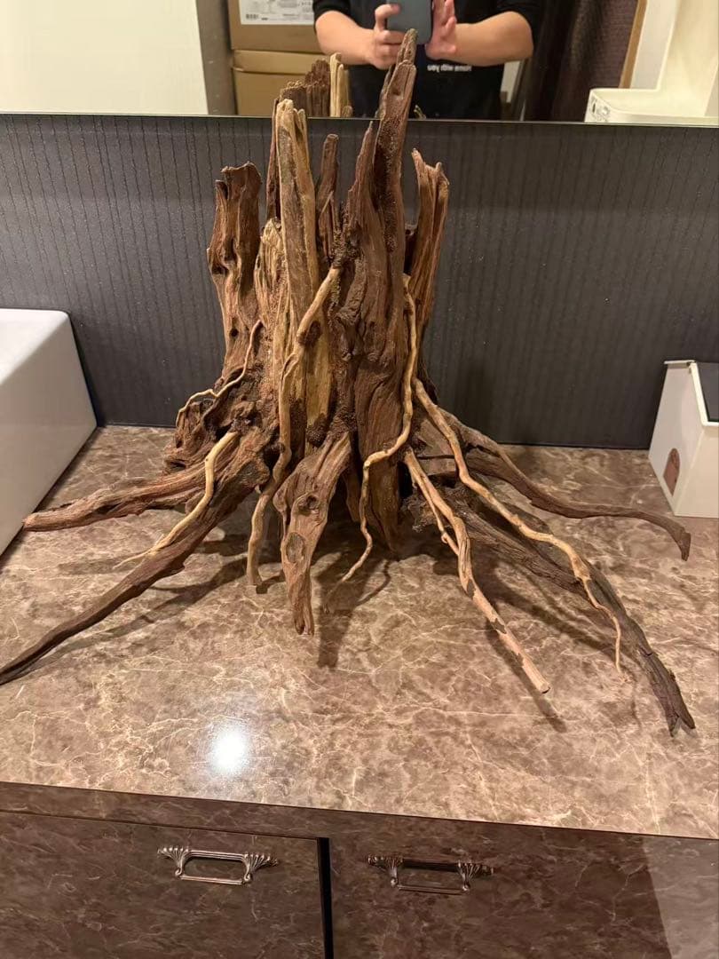 水槽用流木 自然な形状 約120cm