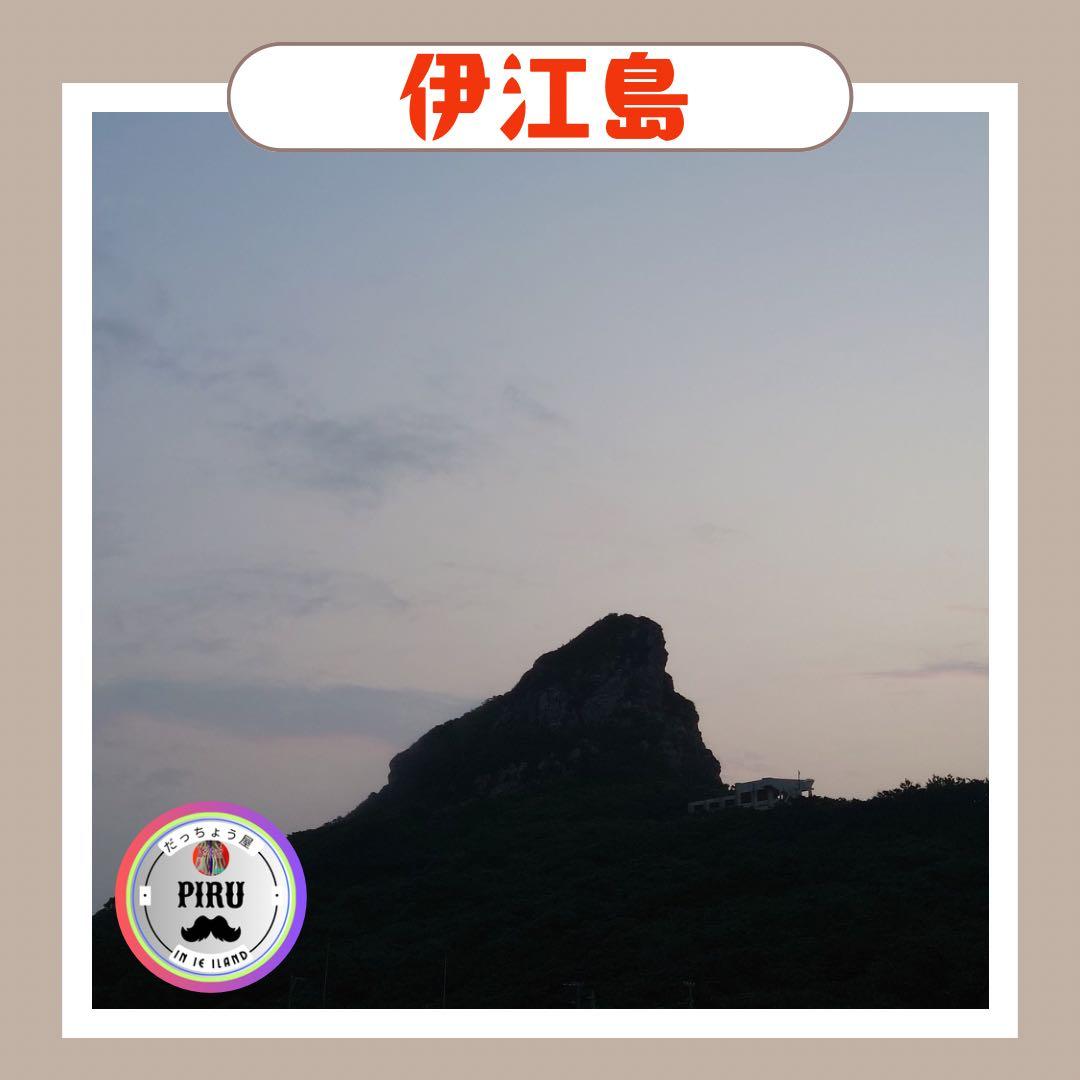 5000g 伊江島産 島らっきょう 農家直送 送料込み