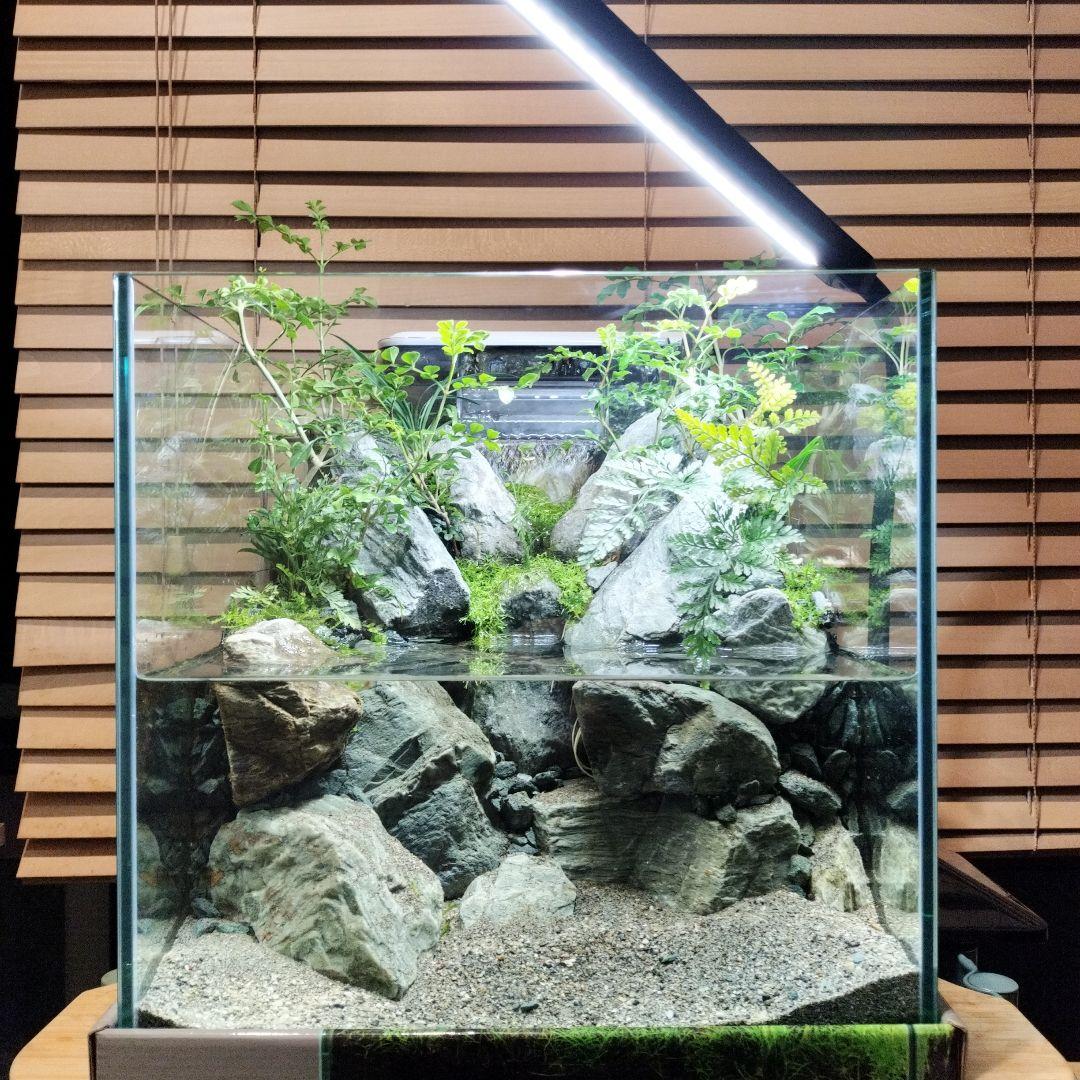 【アクアテラリウム完成品】渓流アクアリウム＋テラリウム30cmキューブ水槽