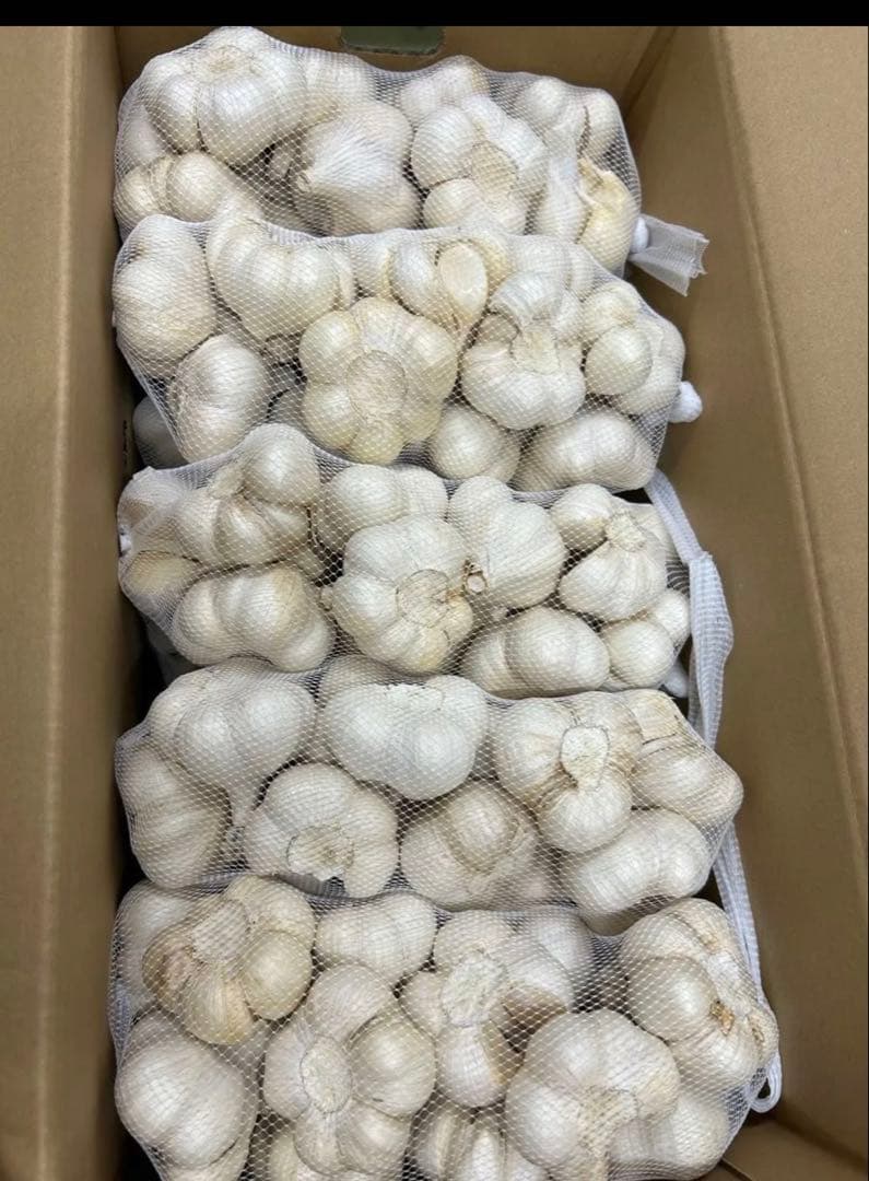 ラスト1ケース　青森産　にんにく　C品Lサイズ　 10キロ　JA全農あおもり