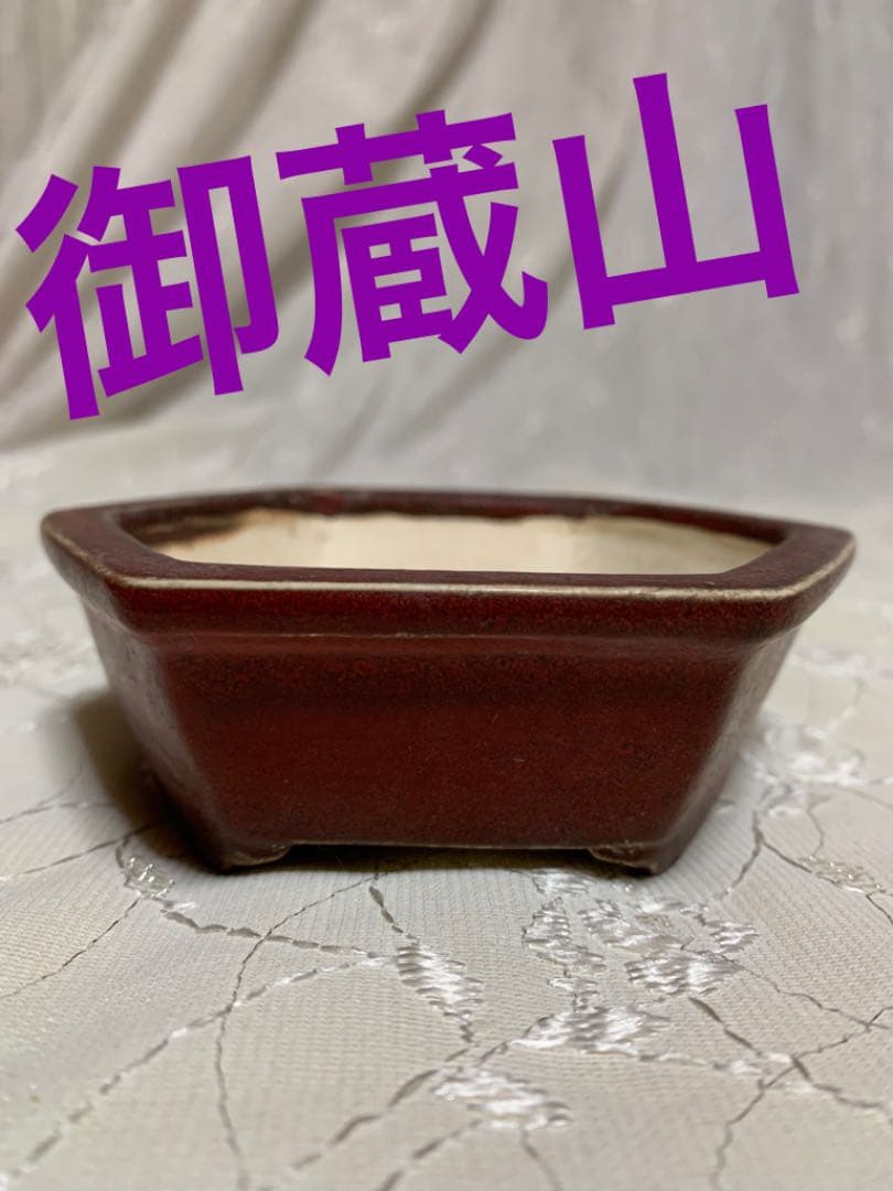 御蔵山　黒赤　六角　盆栽鉢