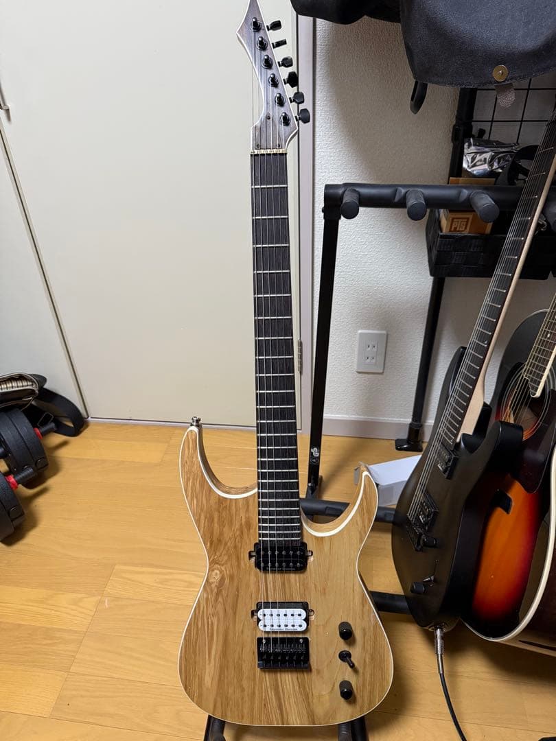 エレキギターブラックマシンタイプ Blackmachin 海外製　ストラトタイプ