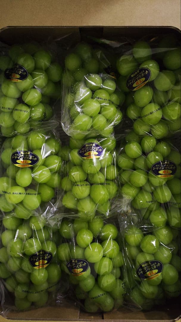 シャインマスカット　5キロ　8入　岡山県産　最後