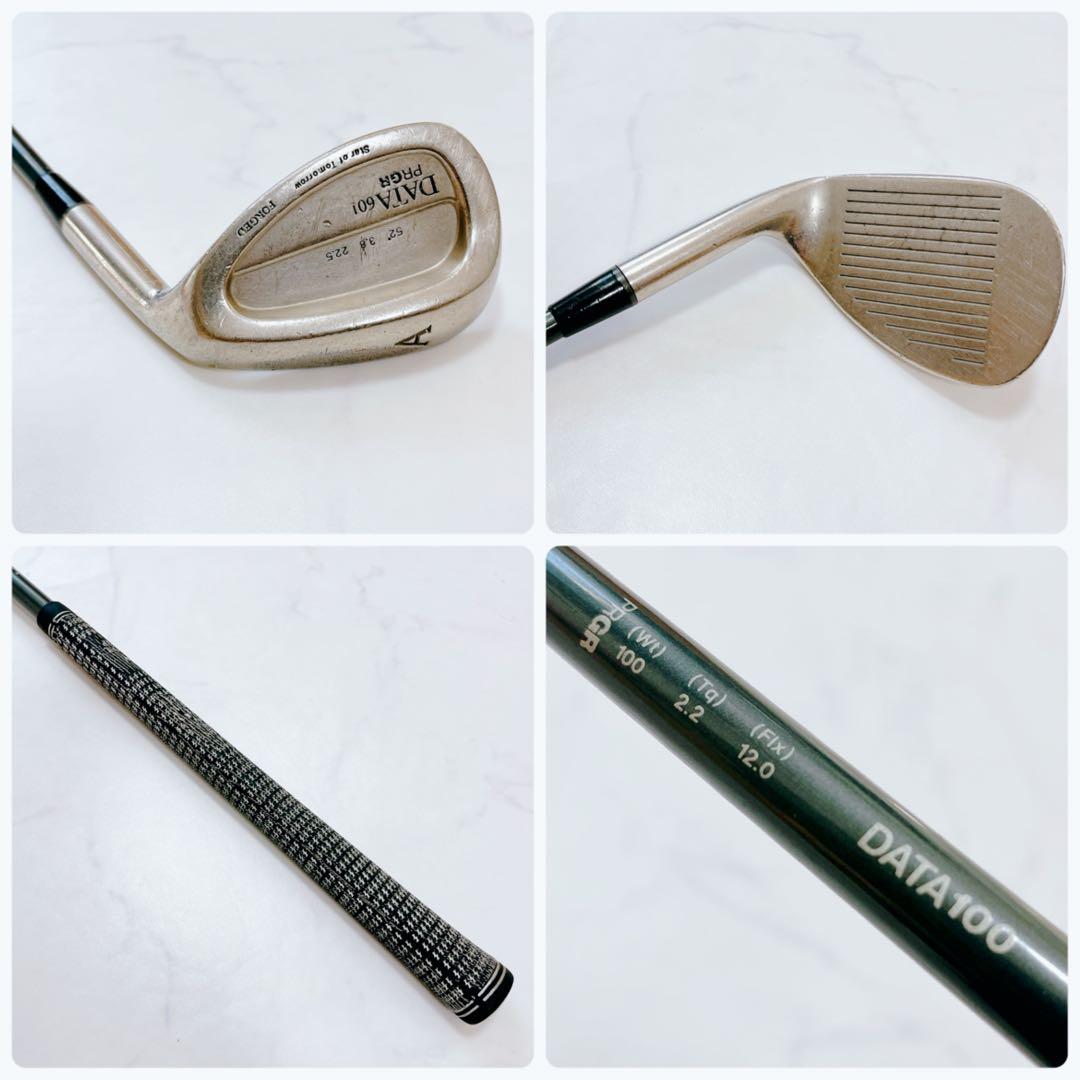 名器 プロギア DATA601 アイアンセット 右打ち 10本 メンズ 三浦技研