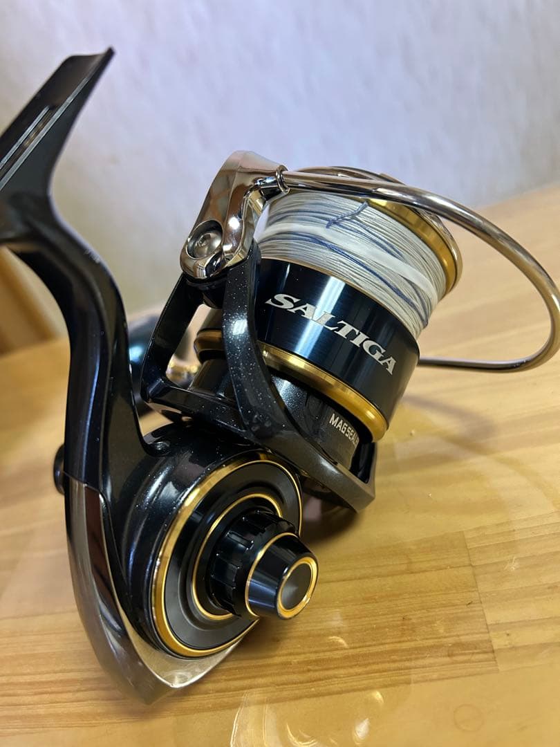 ダイワ　20ソルティガ　10000H