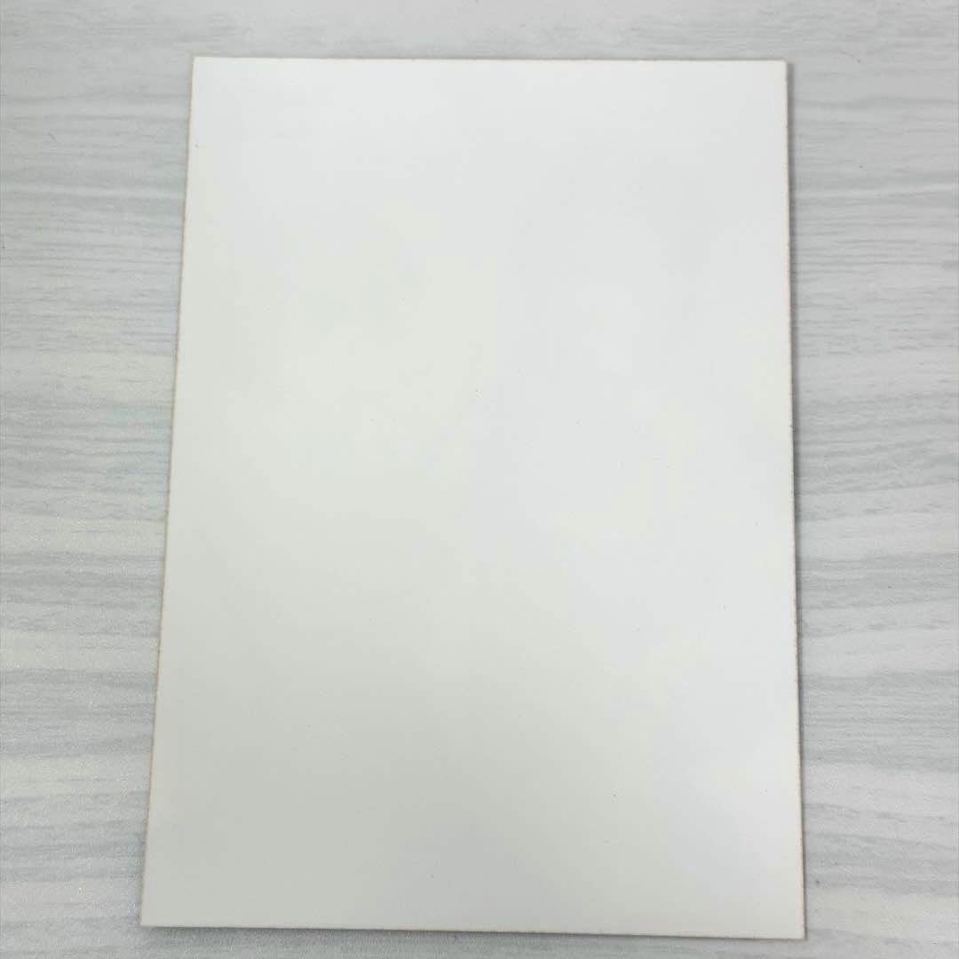 ペルソナ3 桐条美鶴 岳羽ゆかり 非売品 ブロマイド フォトカード