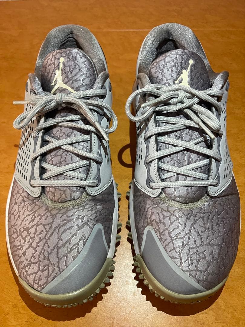 NIKE JORDAN TRAINER ゴルフシューズ グレー