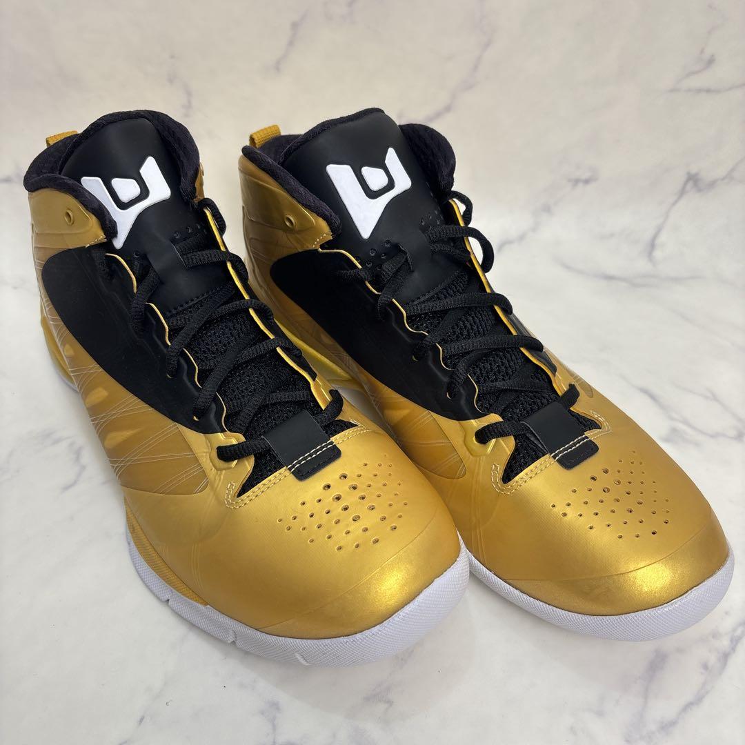 【新品未使用】JORDAN FLY WADE 2 EV 28.5