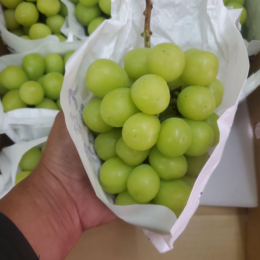 6️⃣ 山梨県産 シャインマスカット １０房入り 箱込み5.7キロ