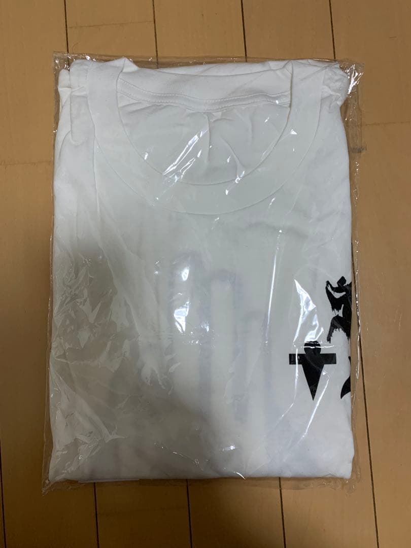 新品未開封　真天地開闢集団ジグザグ　参拝装束〈定番〉（ロングTシャツ）白