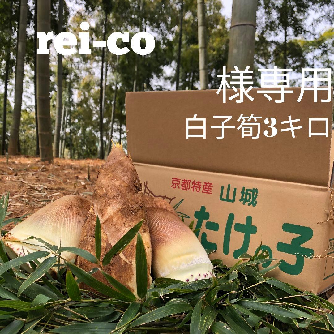 rei-co 白子筍3キロクール
