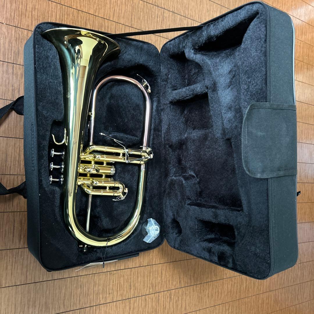 フリューゲルホルン　セミハードケース付
