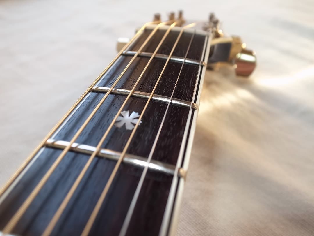 超レア　’83日本製MORRIS Dione DN-80D アーチトップエレアコ