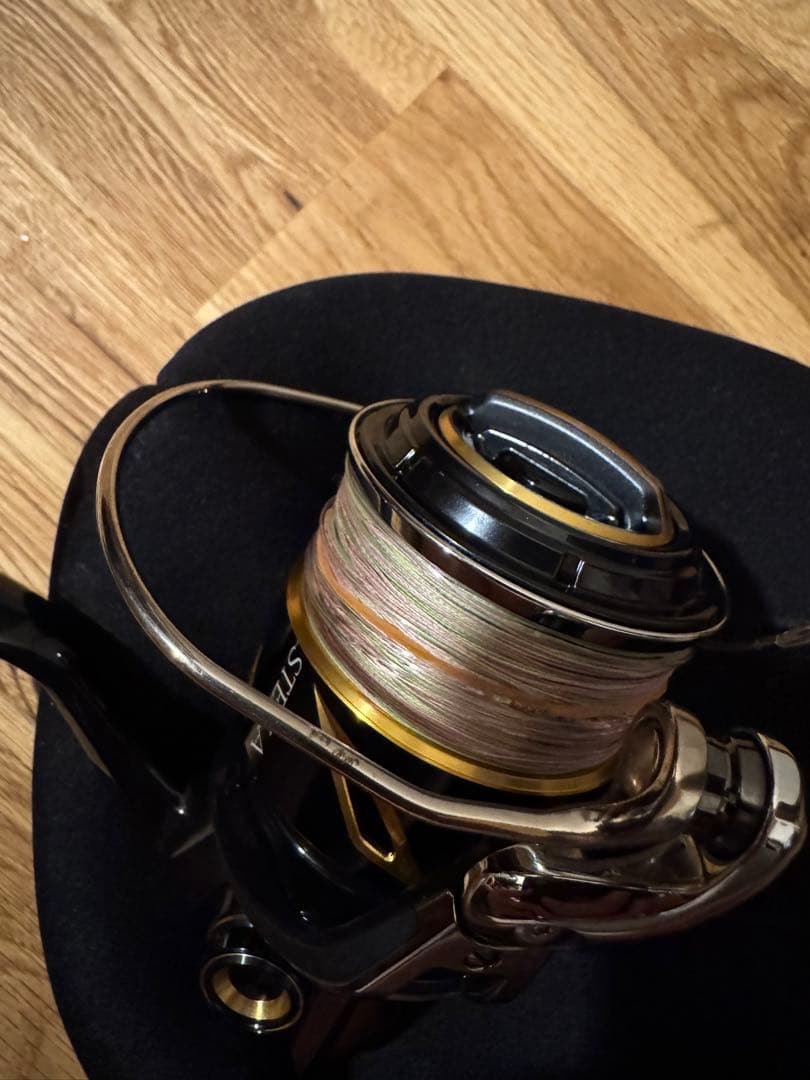 リール SHIMANO STELLA 6000HG