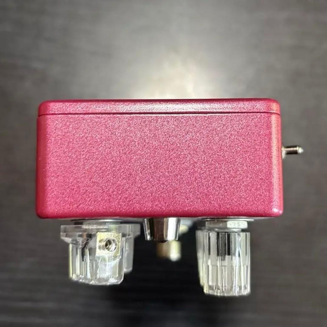 ギター Vivie modern raven