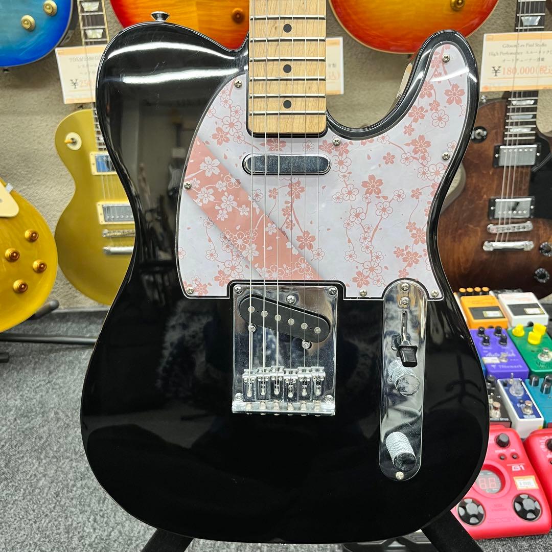 【11374】Squier by Fender 桜柄 花柄 和柄