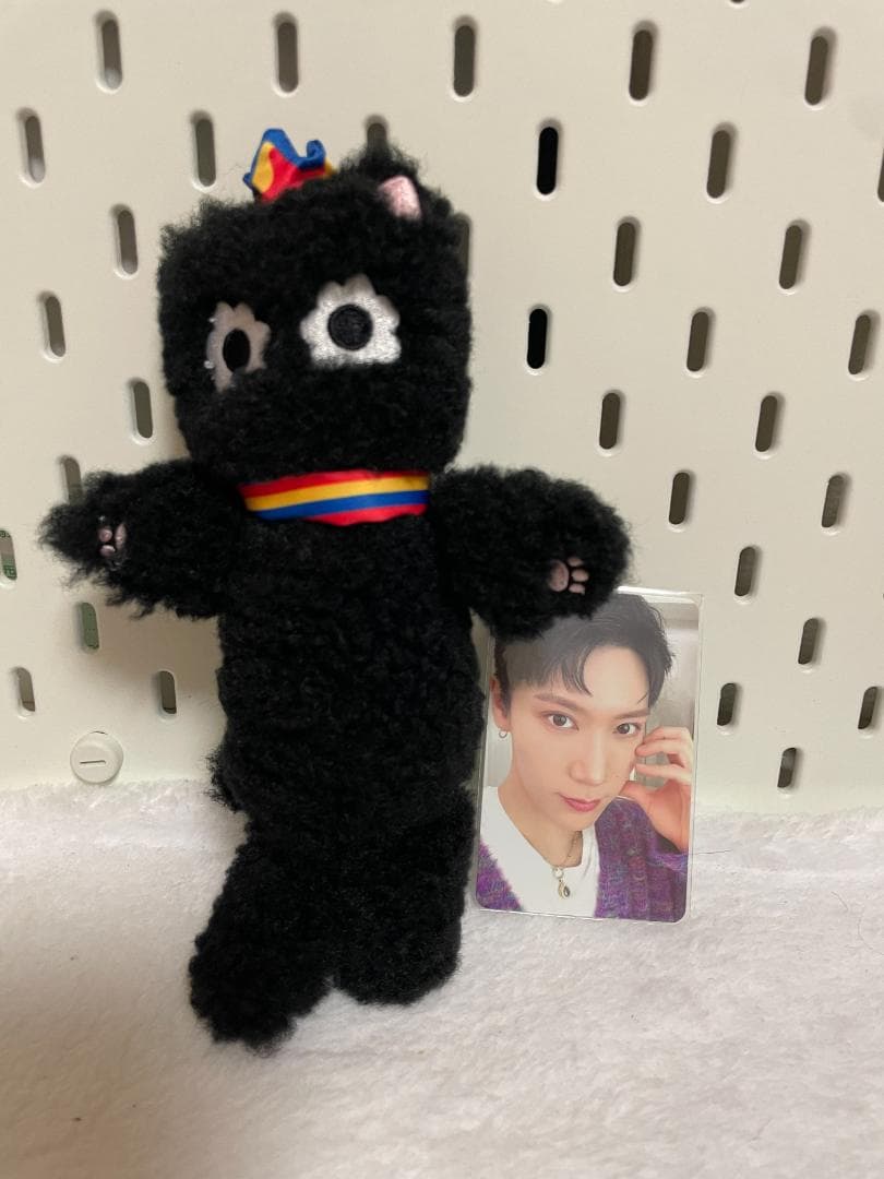 WayＶ 威神 NCT テン ソウルコン カヌレ ぬいぐるみ