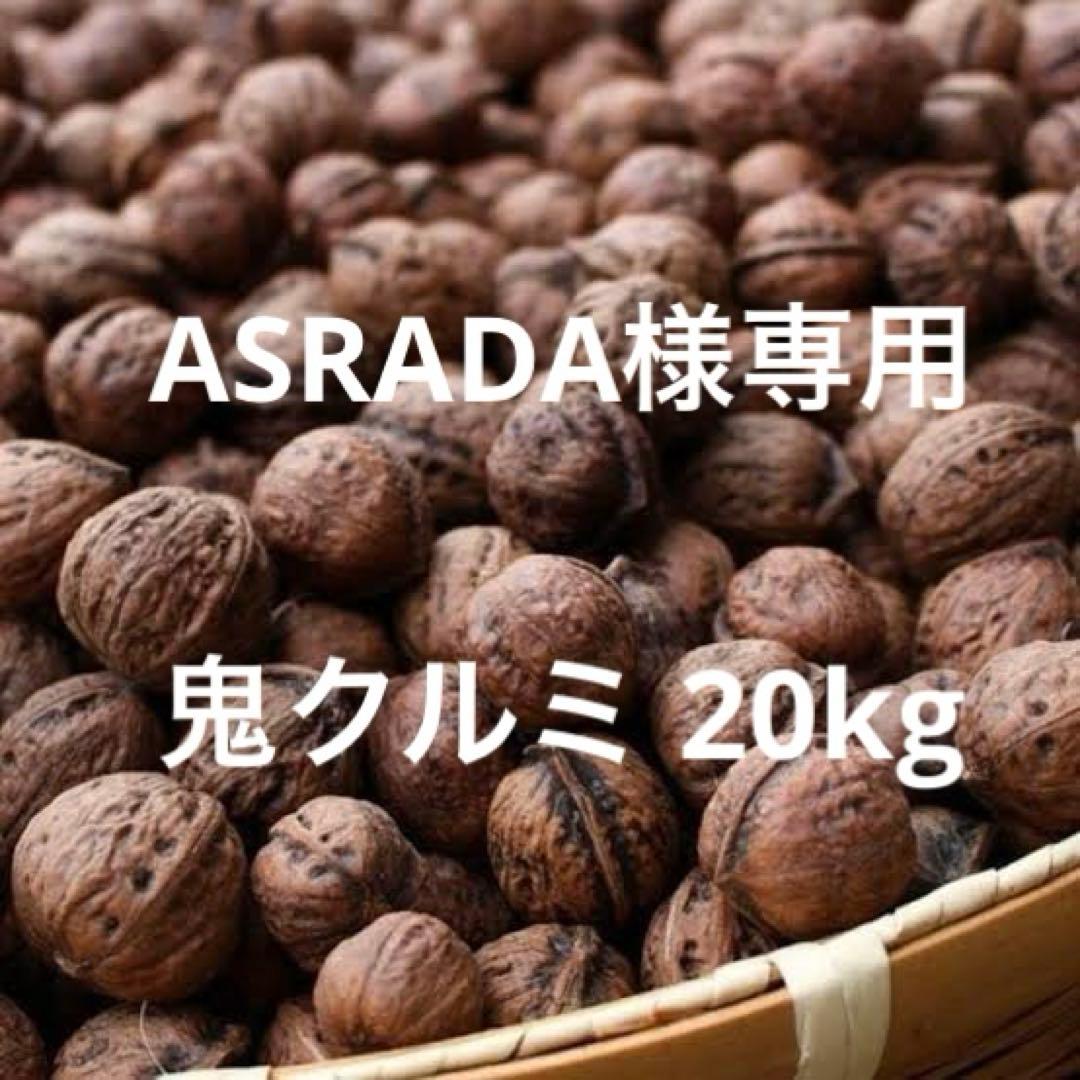 その他 ASRADA