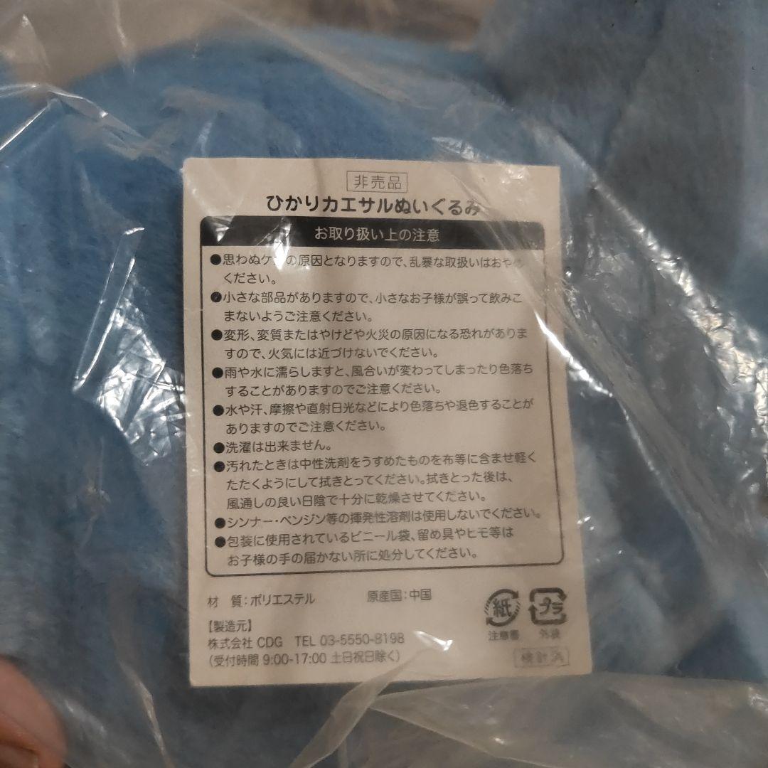 ひかりカエサルヌイグルミ（非売品）