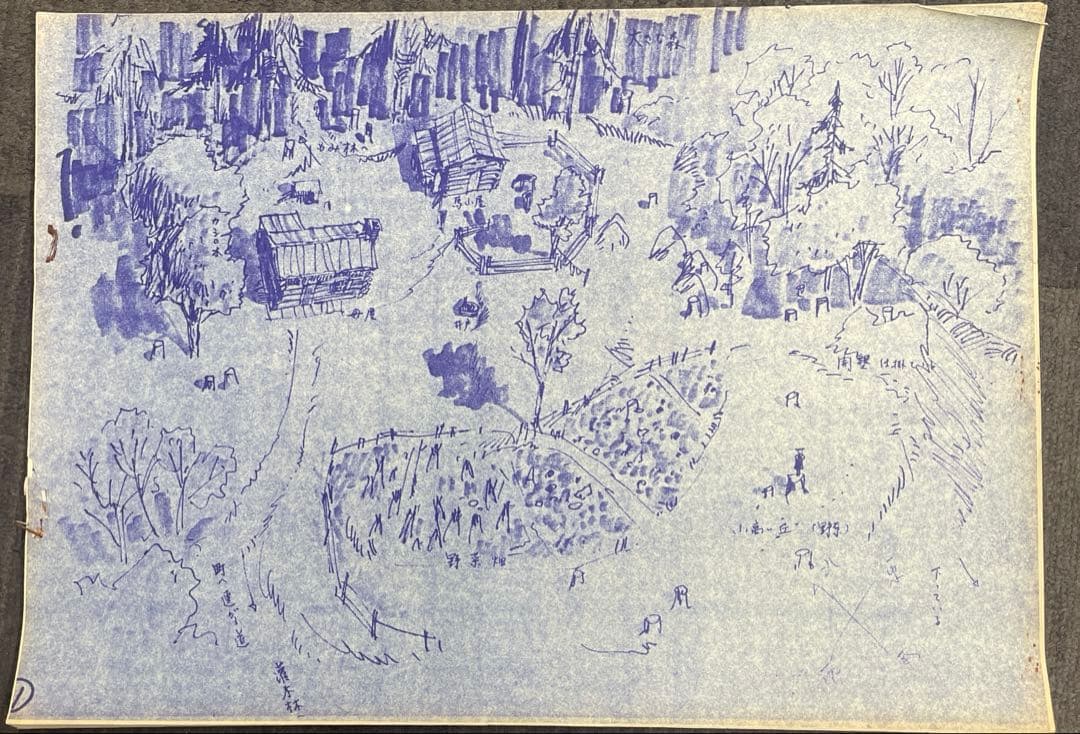 草原の少女ローラ　設定資料　青焼き　日本アニメーション