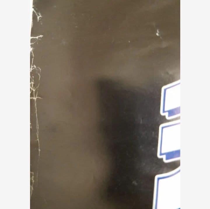 チャンピオン鷹　B2 ポスター　ユンピョウ