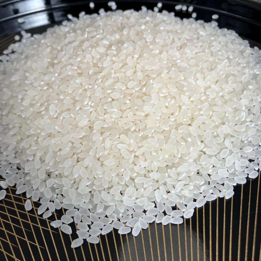 魚沼産コシヒカリ　令和7年産　白米　10キロ　米農家直送②