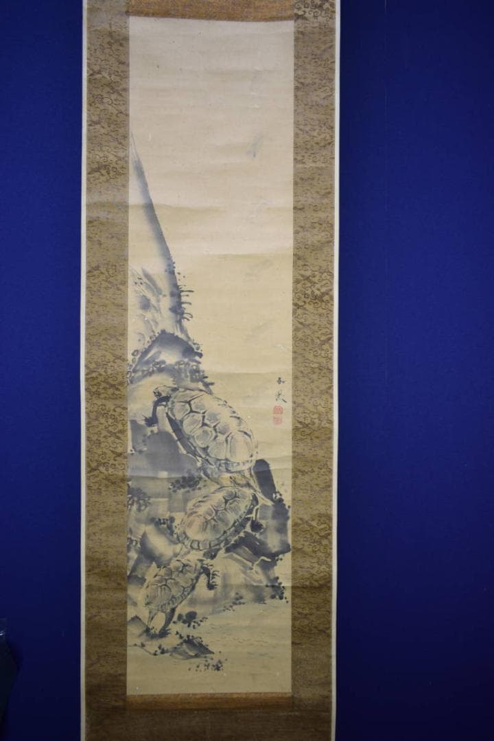 模写/谷文晁/亀図/絹表装/布袋屋掛軸HF-612