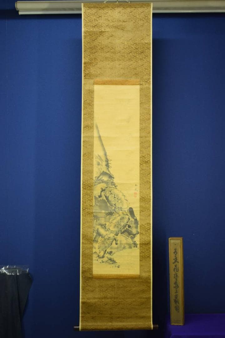 模写/谷文晁/亀図/絹表装/布袋屋掛軸HF-612